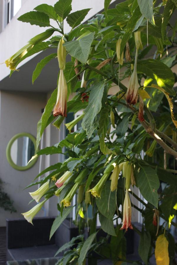 Hotel Allegra Casa 4*